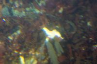 
DSC00071
